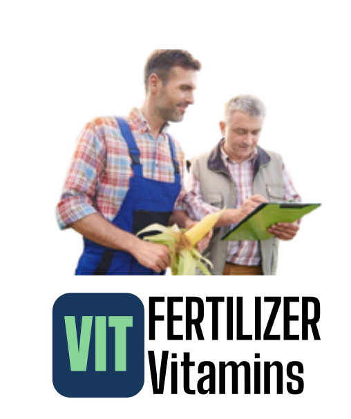 2 Nesneden Oluşan Grup (11)