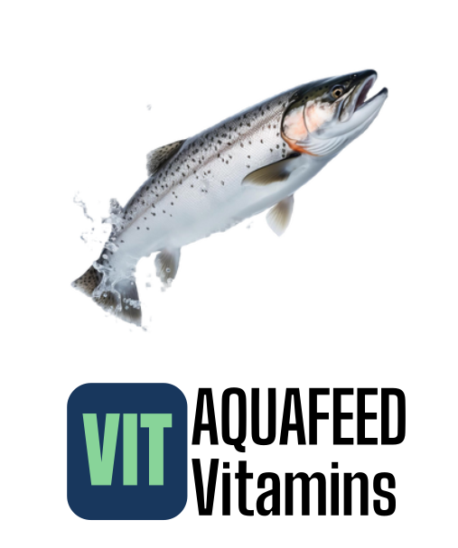 2 Nesneden Oluşan Grup (12)