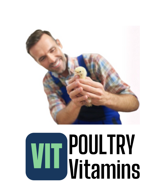 2 Nesneden Oluşan Grup (8)